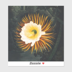 Adesivo Cereus Noturno Antigo Florindo Arte Gótica