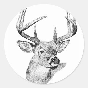 Adesivo Cervos de Whitetail