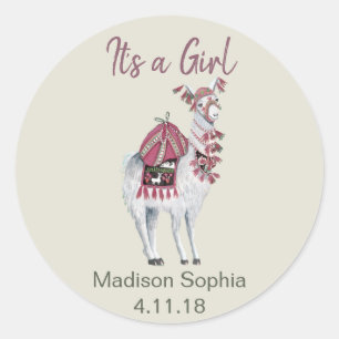 Adesivo Chá de bebê de lhama bege elegante fofo