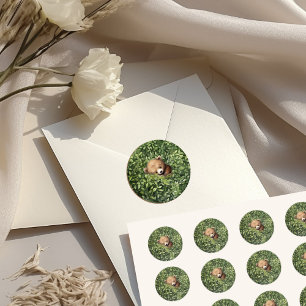 Adesivo Chá de Bebê Urso Floresta Aquarela Neutro