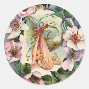 ADESIVO CHÁ DE FRALDAS DE GAROTA COM ROSAS SELVAGENS DE T