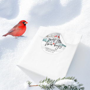 Adesivo Chá de fraldas De Inverno Moderno, Garotos Gêmeo