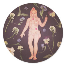 Chakras Sticker