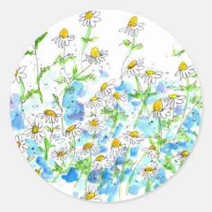 Adesivo Chamomile Daisy Garden Herb Watercolor