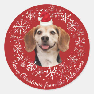 Adesivo Chapéu de Papai Noel com Foto de Animal de Estimaç