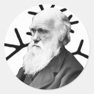 Adesivo Charles Darwin