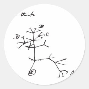 Adesivo Charles Darwin - eu penso (o preto)