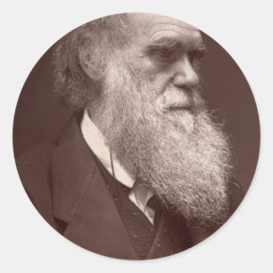 Adesivo Charles Darwin Sticker