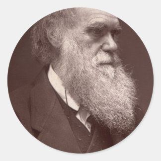 Adesivo Charles Darwin Sticker