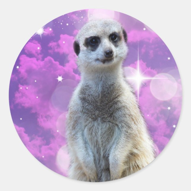 Adesivo Charme Shimmering: Meerkat no fundo do livro rosa (Frente)