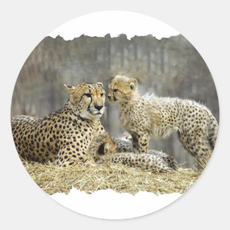 Adesivo Cheetah-a-Cubs