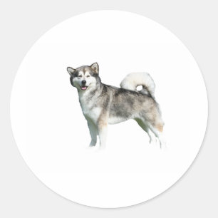 Adesivo cheio malamute do alaskan.png