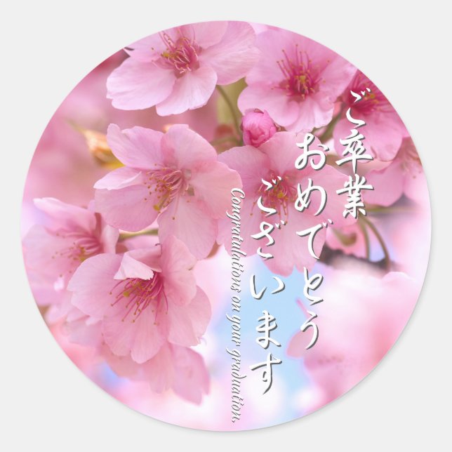 Adesivo Cherry blossom "Kawazu-Zakura"  ラウンドシール (Frente)