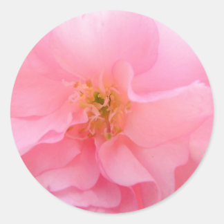 Adesivo Cherry Blossom Stickers