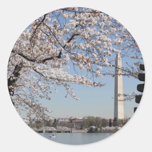 Adesivo Cherry Blossom Washington DC (Frente)