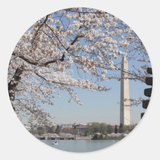 Adesivo Cherry Blossom Washington DC