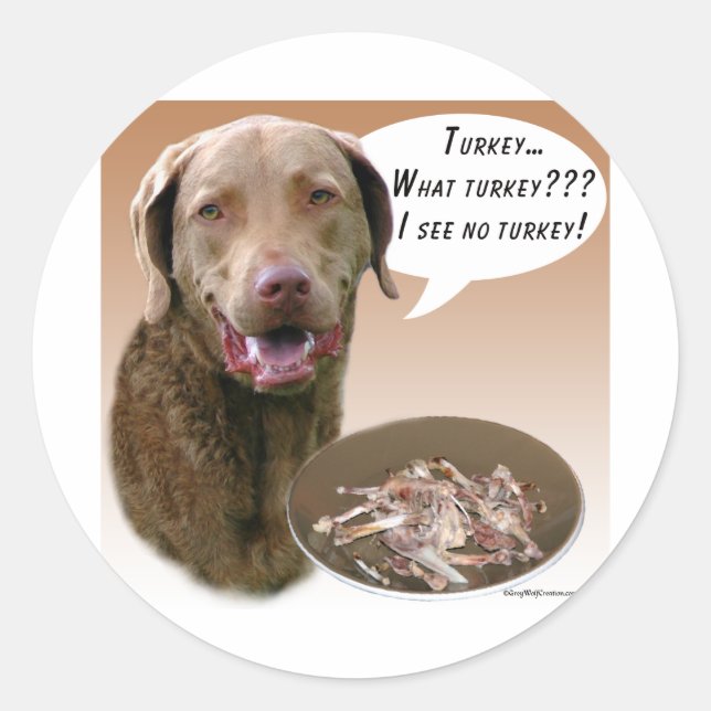 Adesivo Chesapeake Bay Retriever Turquia (Frente)