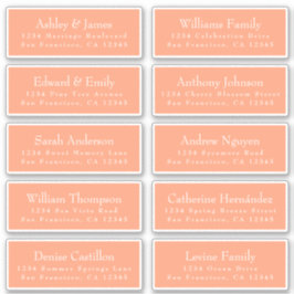 Adesivo Chic Cantaloupe Orange Guest Labels