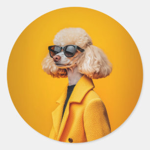 Adesivo Chic Poodle em óculos escuros e Casaco amarelo