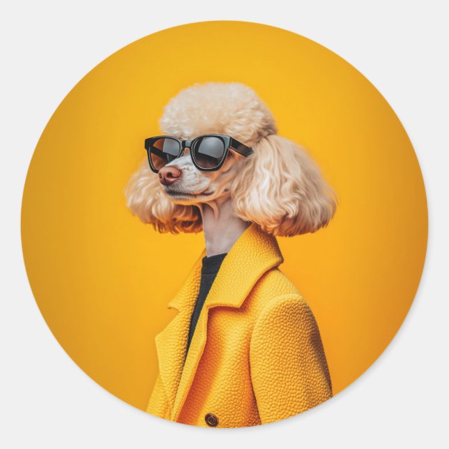 Adesivo Chic Poodle em óculos escuros e Casaco amarelo (Frente)