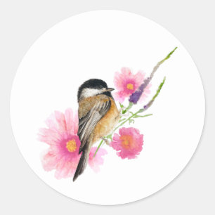 Adesivo Chickadee Bird Black Capped Art