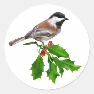 Adesivo Chickadee Holly Sticker