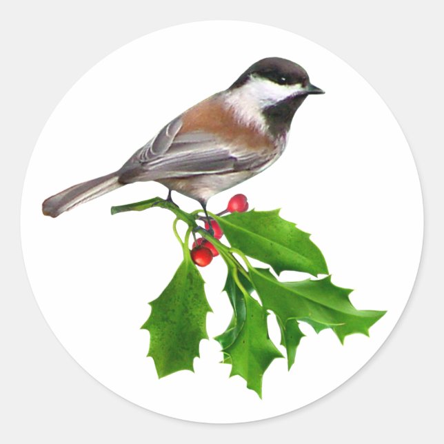 Adesivo Chickadee Holly Sticker (Frente)