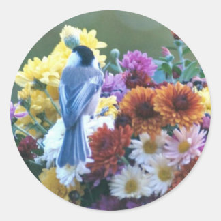ADESIVO CHICKADEE NO MÃE