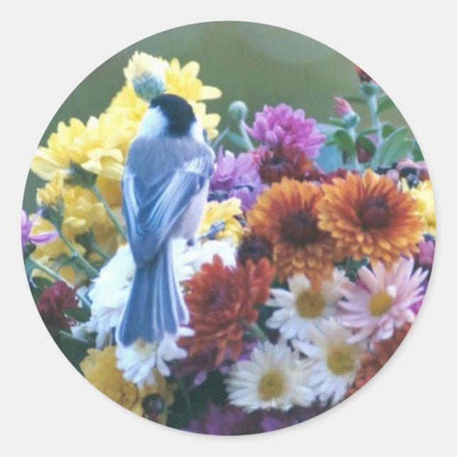 ADESIVO CHICKADEE NO MÃE (Frente)