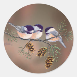 Adesivo CHICKADEES & PINECONES por SHARON SHARPE