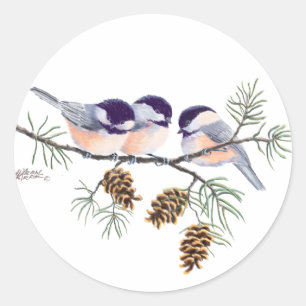 Adesivo CHICKADEES & PINECONÔMICOS por SHARON SHARPE