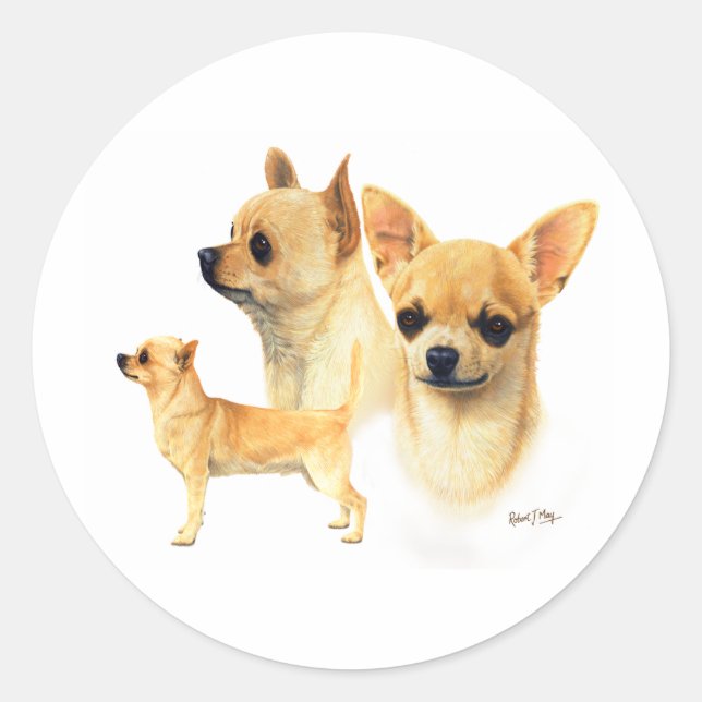 Adesivo Chihuahua (Frente)