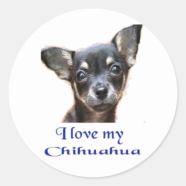 Adesivo Chihuahua (Frente)