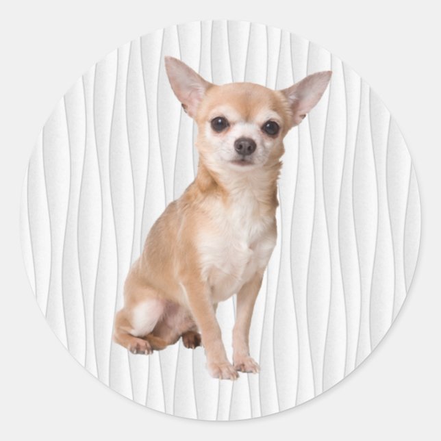 Adesivo Chihuahua (Frente)