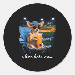 Adesivo Chihuahua bebe café gelado campo de beisebol ao vi