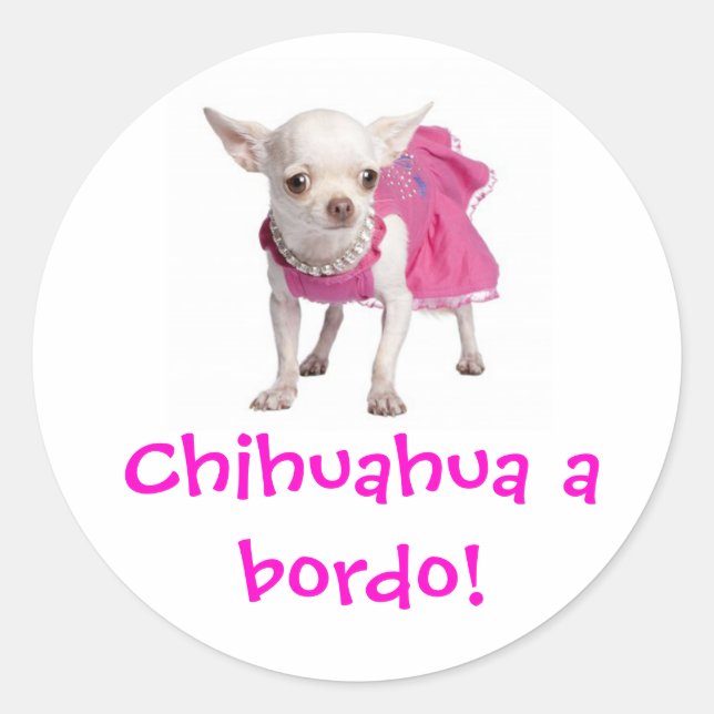 Adesivo - Chihuahua bordo! (Frente)