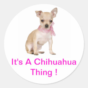 Adesivo Chihuahua É Uma Coisa Chihuahua