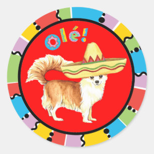 Adesivo Chihuahua longa do casaco da festa