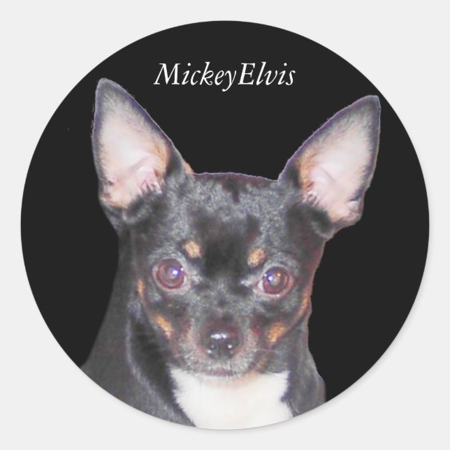 Adesivo Chihuahua MickeyElvis Sticker (Frente)