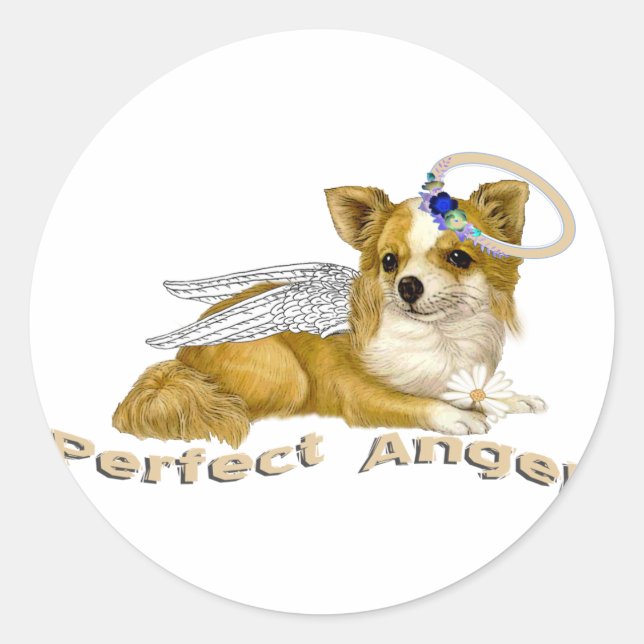 Adesivo Chihuahua Perfect Angel (Frente)