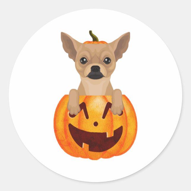 Adesivo Chihuahua Pumpkin (Frente)