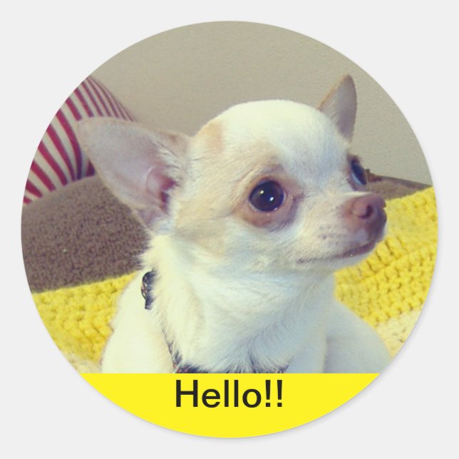 Adesivo Chihuahua Puppy  (Frente)