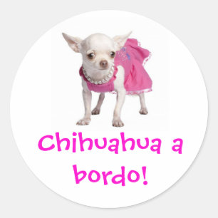 Adesivo - chihuahua um bordo!