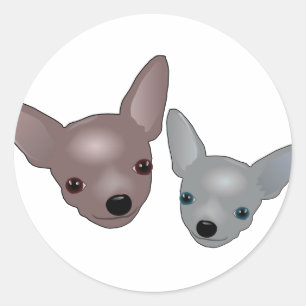 Adesivo Chihuahuas