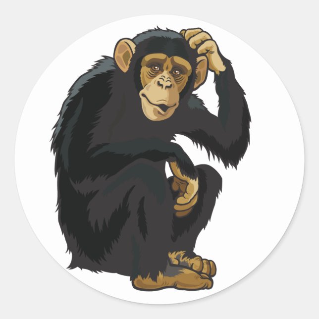 Adesivo chimpanzé (Frente)