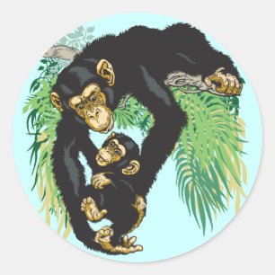 Adesivo chimpanzé com bebê