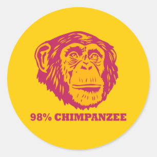 Adesivo Chimpanzé de 98%