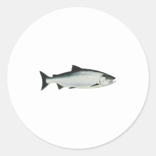 Adesivo Chinook - rei salmão