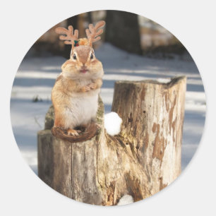 Adesivo Chipmunk adorável da "rena"