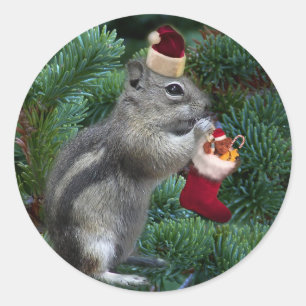 Adesivo Chipmunk insolente do Natal